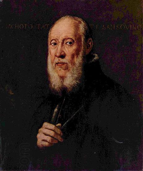 Jacopo Tintoretto Portrat des Bildhauers Jacopo Sansovino China oil painting art